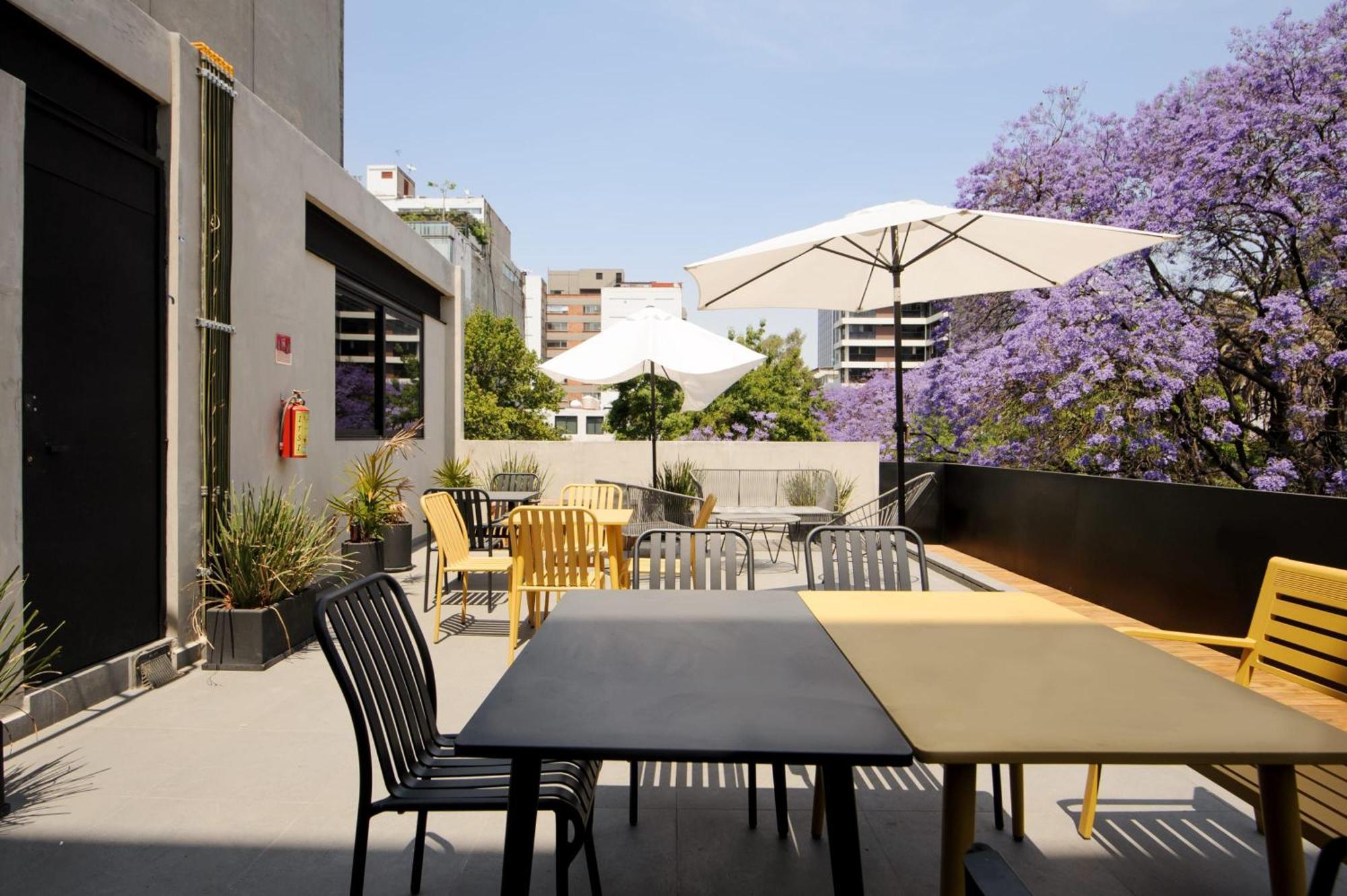 Lamartine 205 By Wynwood House Mexico City Exterior photo